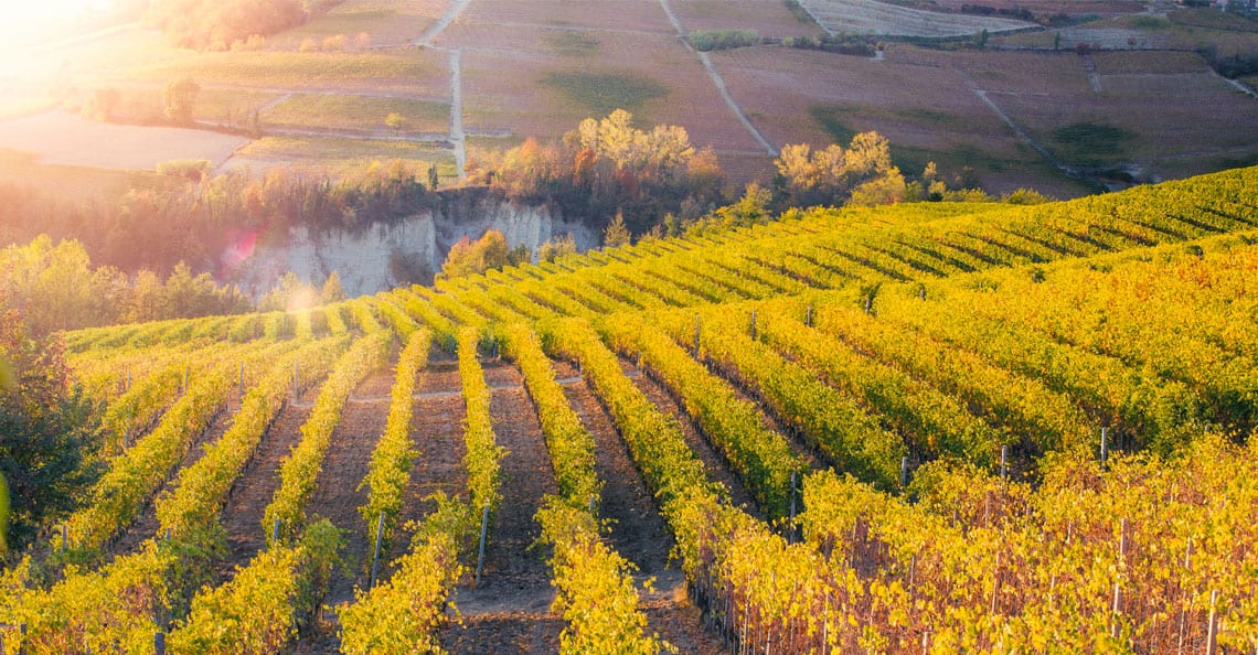 Il Monferrato e le Langhe